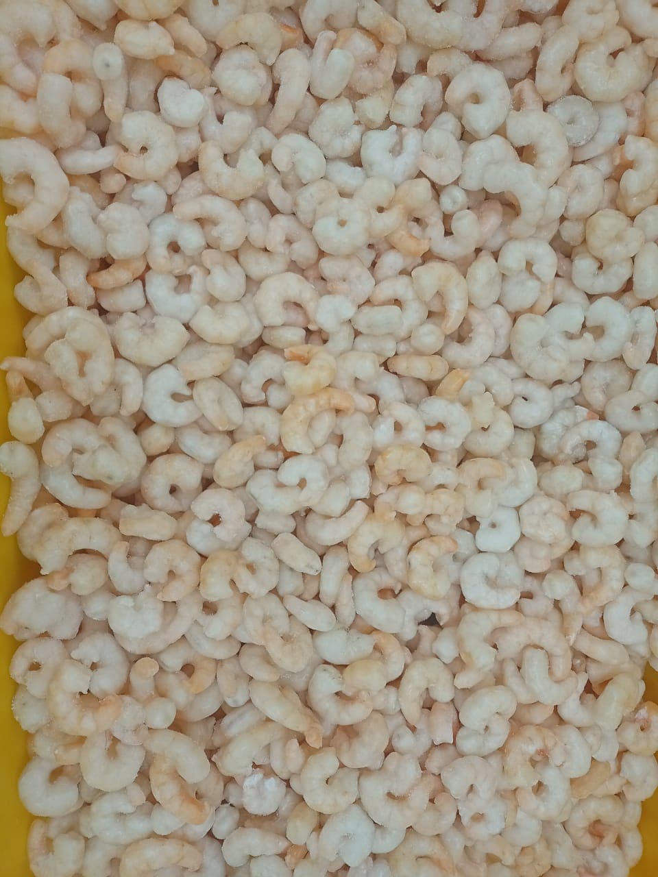 Photo of Harina / Brown Shrimp